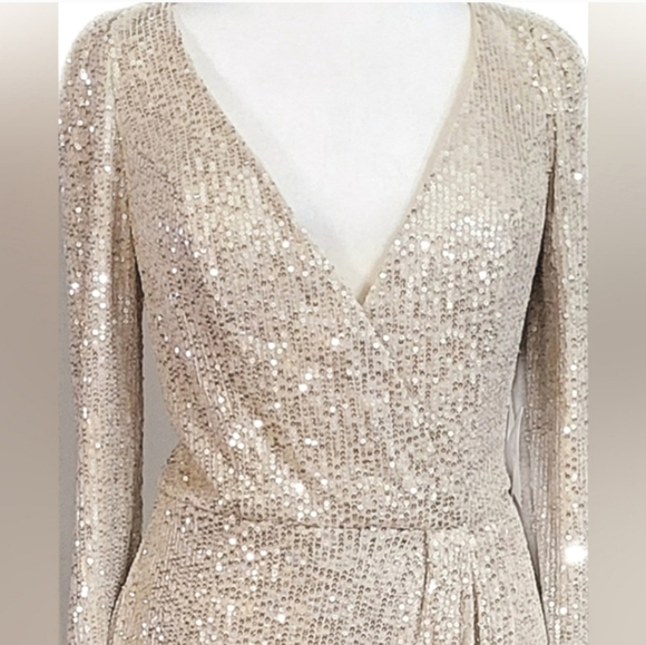 Illena for Mac Duggal silver sequin gown - Picture 6 of 12